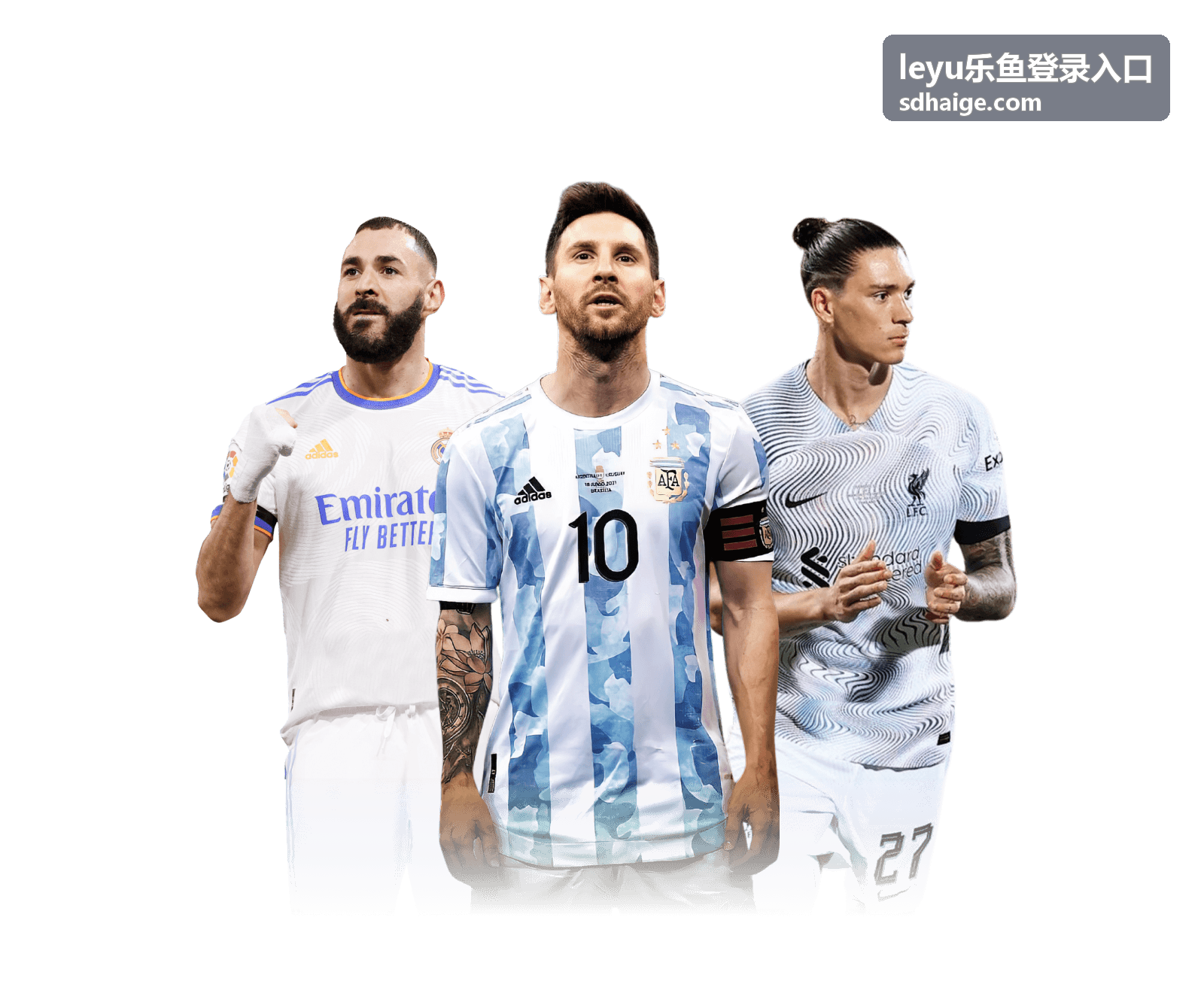 leyu乐鱼登录入口安全登录指南