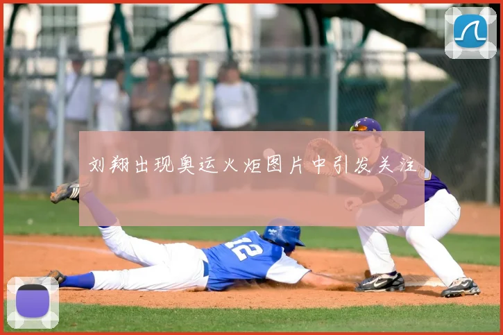刘翔出现奥运火炬图片中引发关注