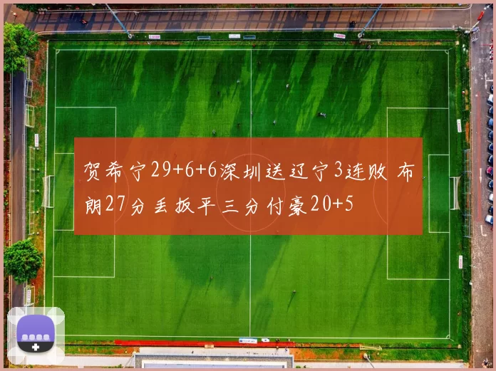贺希宁29+6+6深圳送辽宁3连败 布朗27分丢扳平三分付豪20+5