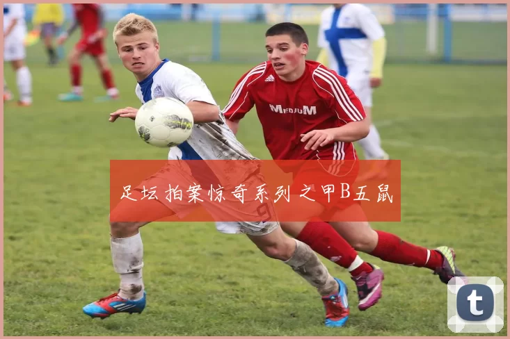 足坛拍案惊奇系列之甲B五鼠