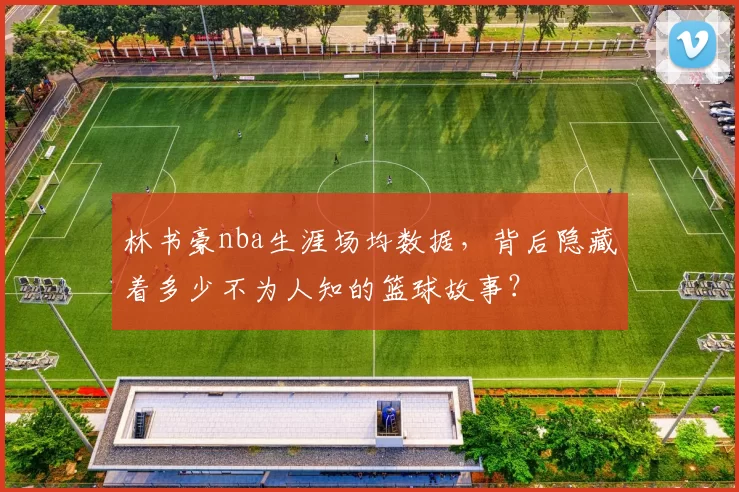林书豪nba生涯场均数据,背后隐藏着多少不为人知的篮球故事?