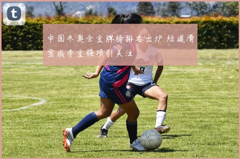 中国冬奥会金牌榜排名出炉 短道滑雪成夺金强项引关注