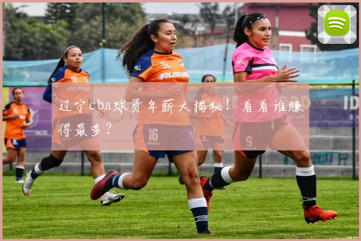 辽宁cba球员年薪大揭秘！看看谁赚得最多？