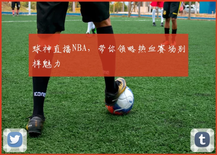 球神直播NBA，带你领略热血赛场别样魅力