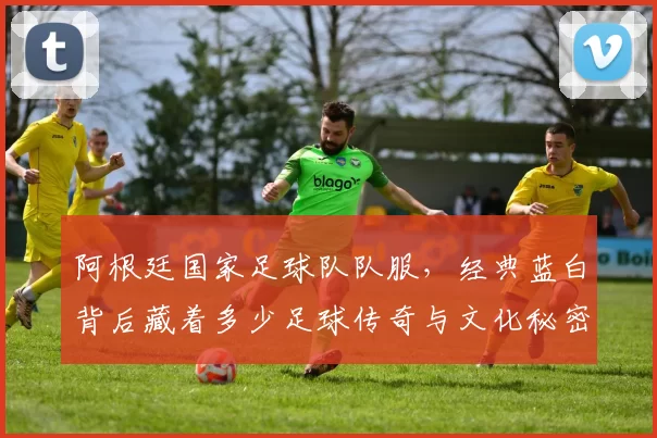 阿根廷国家足球队队服，经典蓝白背后藏着多少足球传奇与文化秘密？