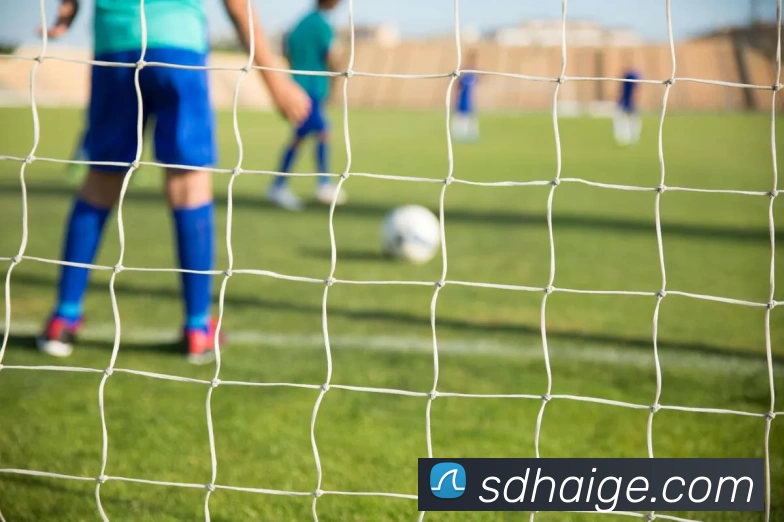 开云在线 - 开云(中国)发展历程