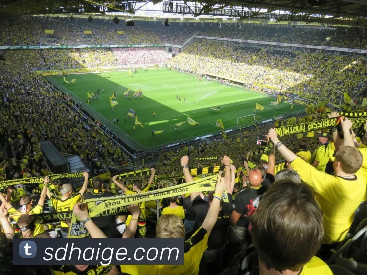 开云网页版·官方版在线登入 - 开云(中国)平台生态图